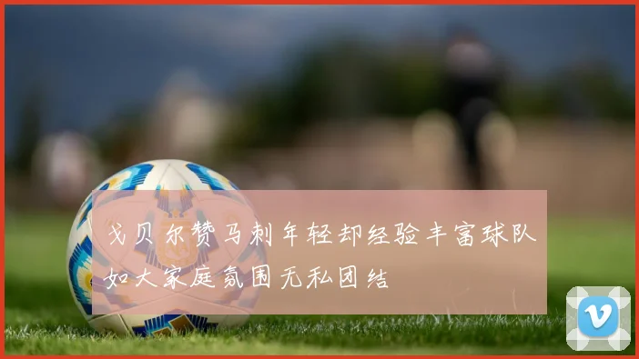 戈贝尔赞马刺年轻却经验丰富球队如大家庭氛围无私团结