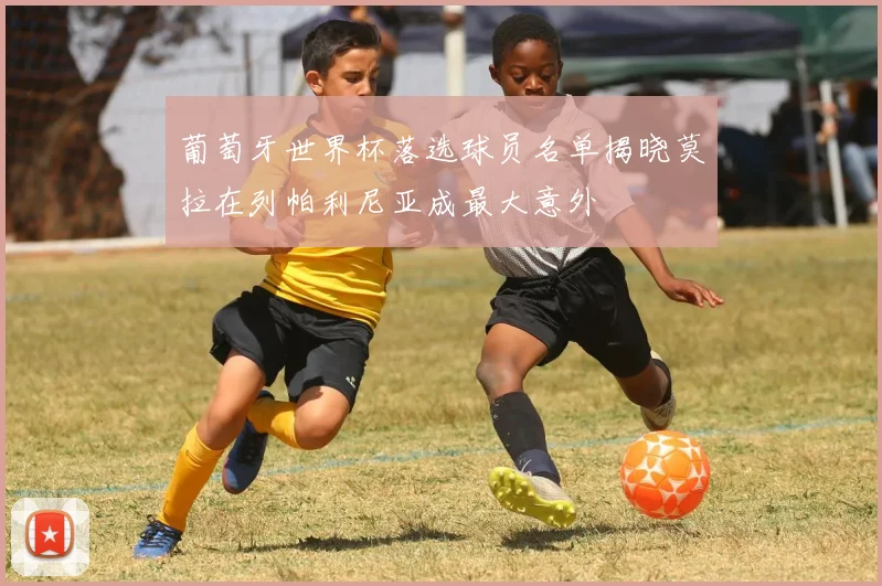葡萄牙世界杯落选球员名单揭晓莫拉在列帕利尼亚成最大意外